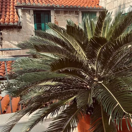 Saint Lucas Appartamento