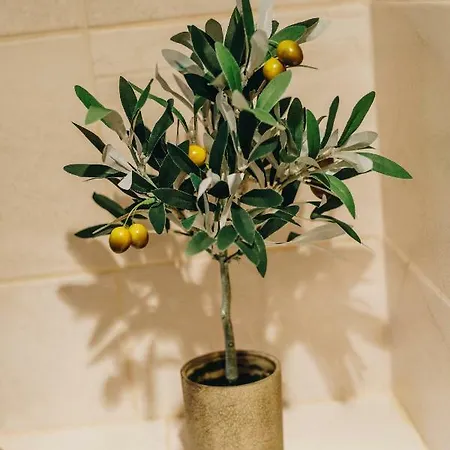 Appartamento Saint Lucas Spalato