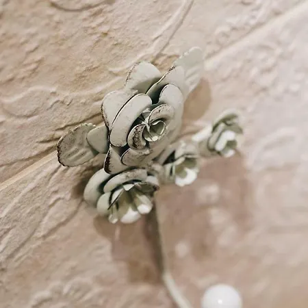 Saint Lucas * Spalato