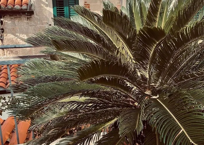 Saint Lucas Διαμέρισμα